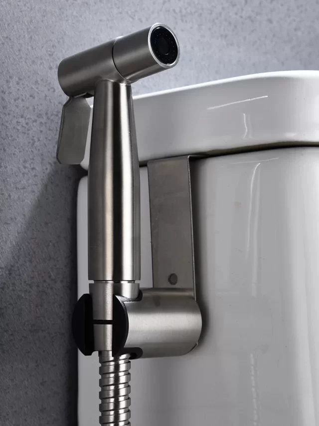 5 Best Portable Bidet Sprayers look at it