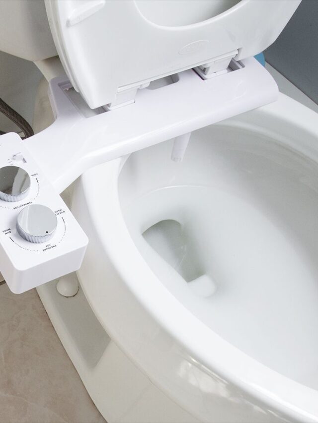 5 Things to know about Bidet Converter Kit