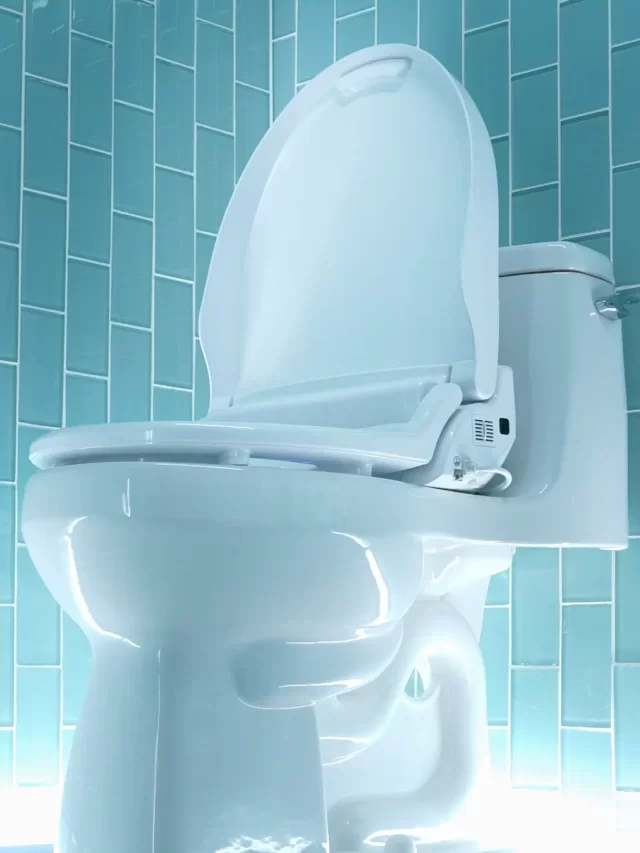 Ludwig’s latest product is the greatest bidet