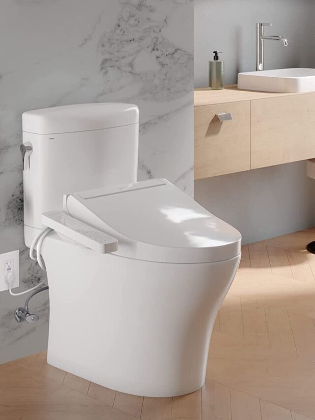 Difference Between Standard Toilet and Bidet