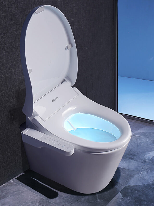 How To Use A Bidet For Pleasure