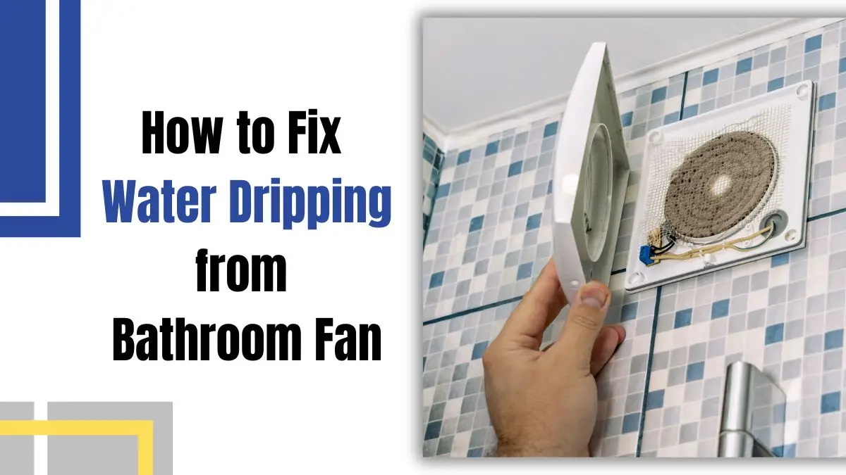 How to Fix Water Dripping from Bathroom Fan Quick and Easy Solutions