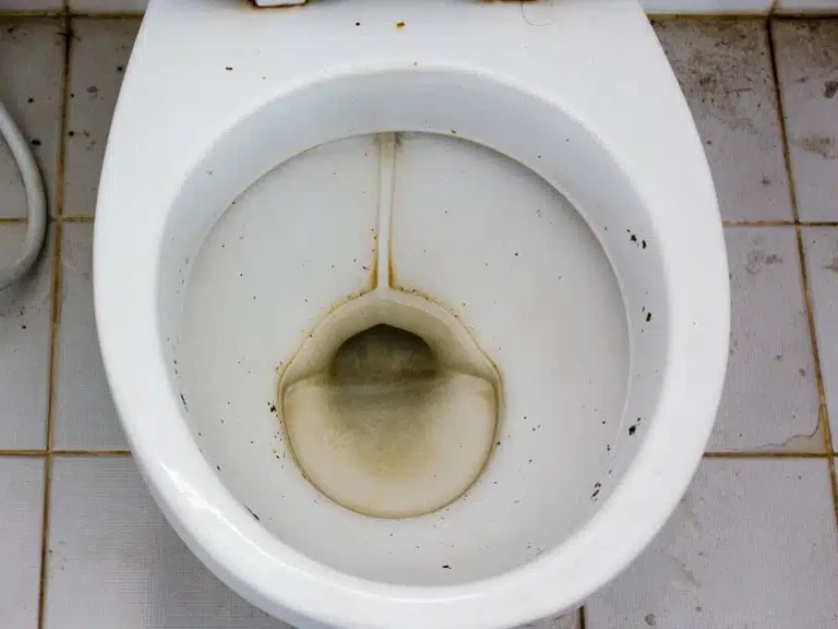 Toilet Design Issues