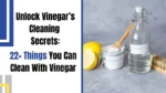 Unlock Vinegar’s Cleaning Secrets 22 Things You Can Clean With Vinegar