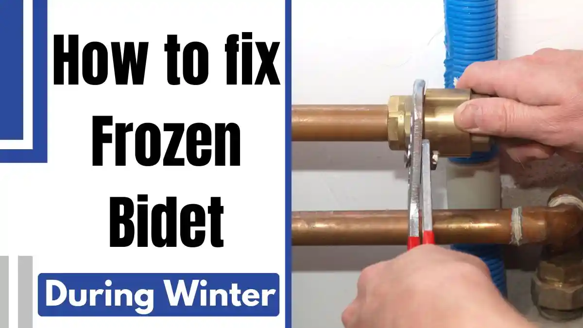 How to Handle a Frozen Bidet During Winter