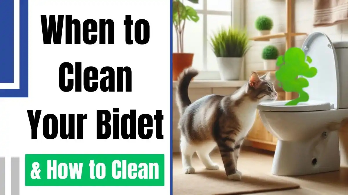 When to Clean Your Bidet 6 Signs to Look for