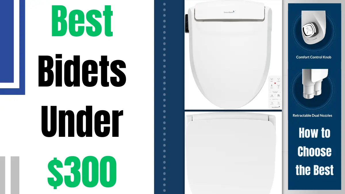 Best Bidets Under $300