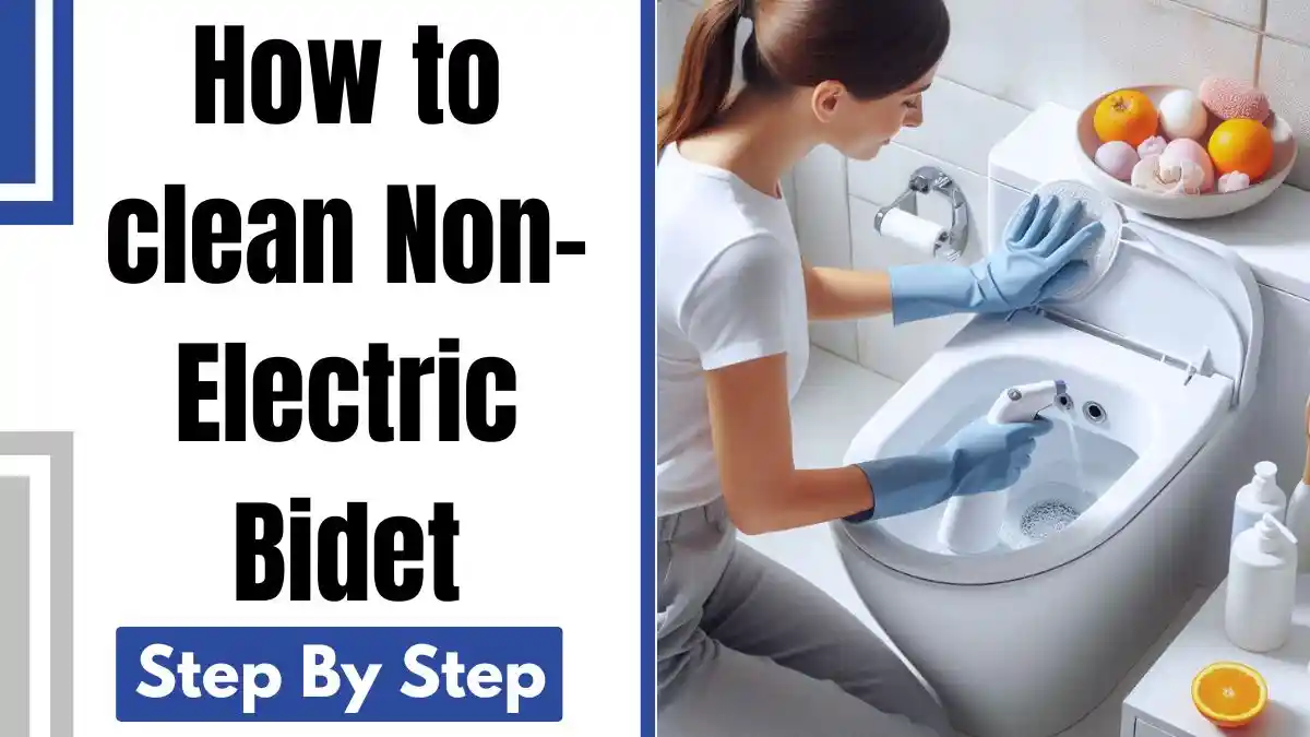 How to clean Non-Electric Bidet Toilet Step by Step Guide