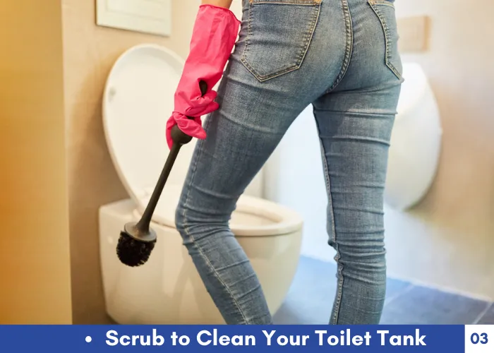 Scrub to Clean Your Toilet Tank