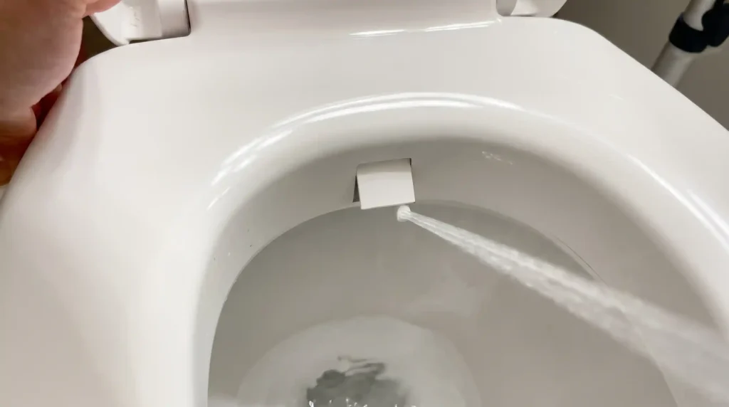 Huttdmel HTW020 Raised Bidet Toilet Review